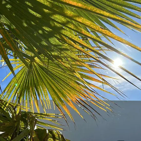 Dom wakacyjny Casa Cao Charmantes Mit Garten *