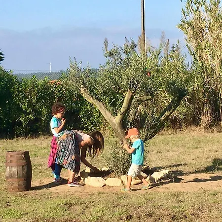 Casa Cao Charmantes Mit Garten Sao Domingos (Sao Bartolomeu dos Galegos)