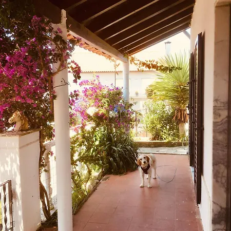 Casa Cao Charmantes Mit Garten Sao Domingos (Sao Bartolomeu dos Galegos)