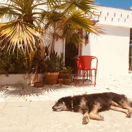 Casa Cao Charmantes Mit Garten