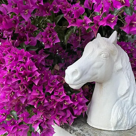 Casa Cao Charmantes Mit Garten Sao Domingos (Sao Bartolomeu dos Galegos)