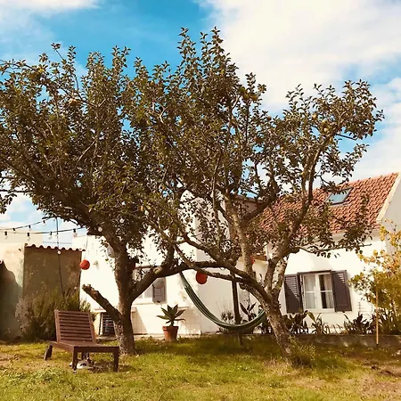 Casa Cao Charmantes Mit Garten Semesterbostad Sao Domingos (Sao Bartolomeu dos Galegos)