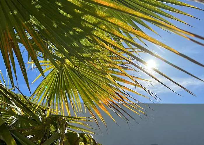 Casa de Férias Casa Cao Charmantes Mit Garten *