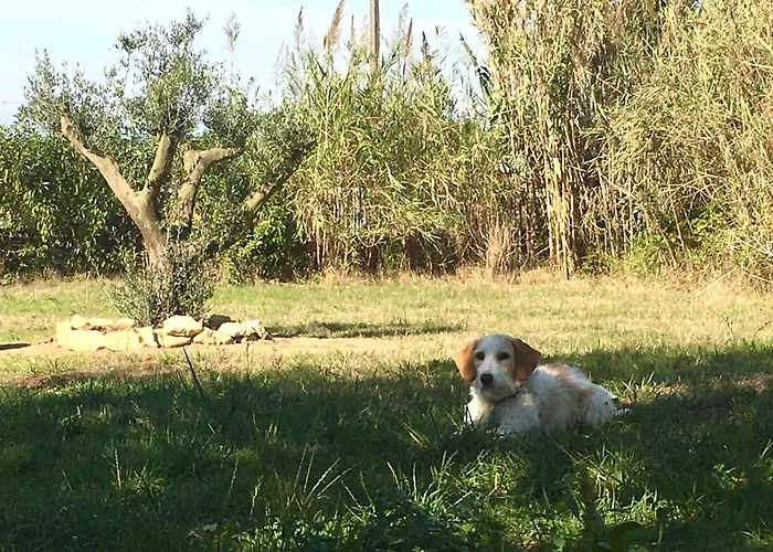 Casa Cao Charmantes Mit Garten Casa de Férias *