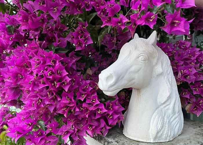 Casa Cao Charmantes Mit Garten Sao Domingos (Sao Bartolomeu dos Galegos)