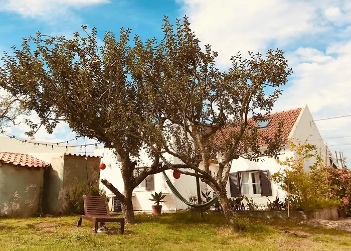 Casa Cao Charmantes Mit Garten Casa de Férias Sao Domingos (Sao Bartolomeu dos Galegos)